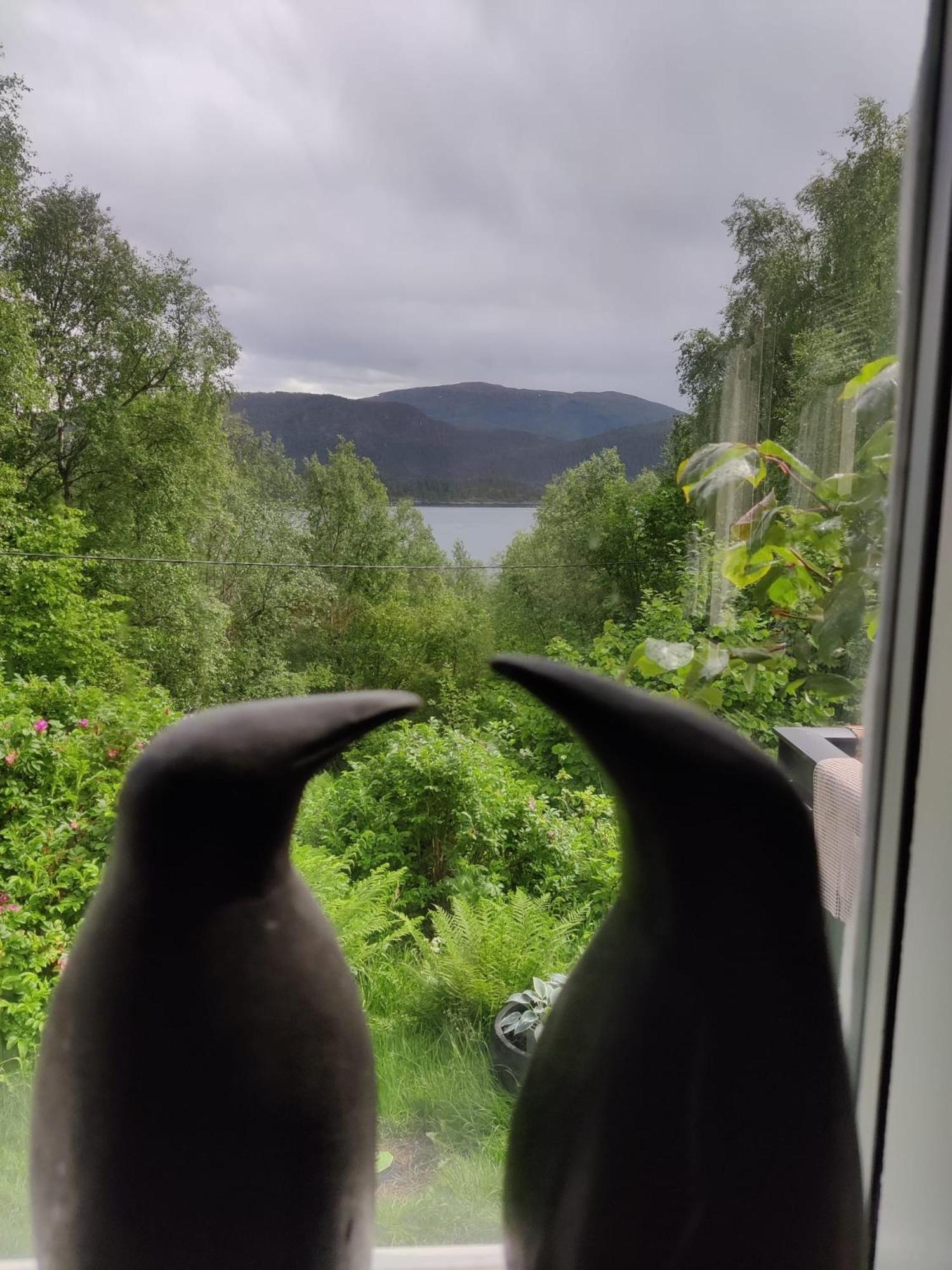 Fjord Peace Villa Skodje Eksteriør billede